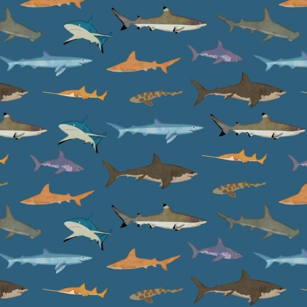Geschenkpapierbögen "Sharks" - 69,2x48,9 cm (Blau) von Rex London