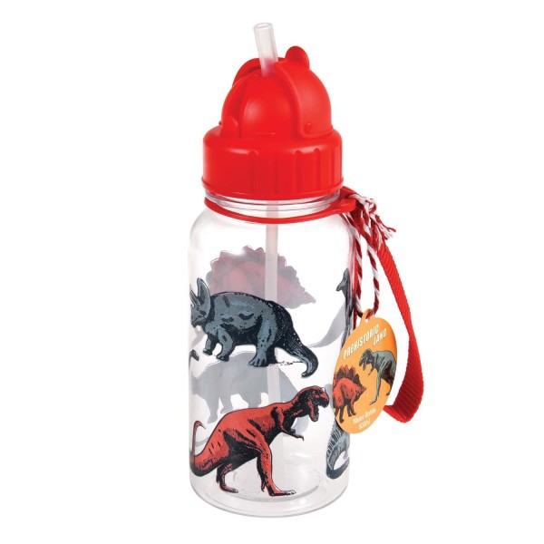 Trinkflasche für Kinder mit Trinkhalm "Prehistoric Land" - 500 ml von Rex LONDON