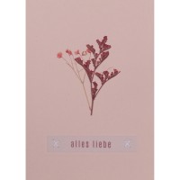 Glückwunschkarte mit echter Blume "Blumengruß - Alles Liebe" von räder Design