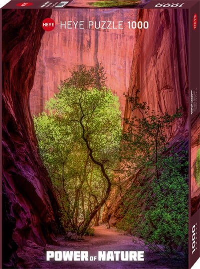 Puzzle Singing Canyon POWER OF NATURE Standard 1000 Pieces