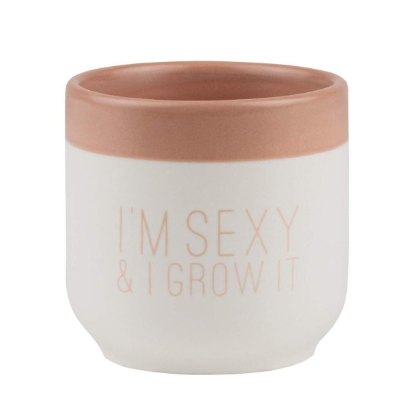 Vase "I'm sexy and I grow it" - 6,5 cm (Weiß/Rosa) von räder Design