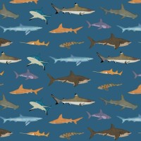 Geschenkpapierbögen "Sharks" - 69,2x48,9 cm (Blau) von Rex London